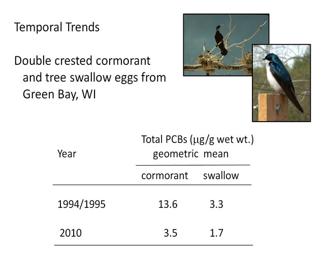 Temporal Trends: Double crested cormorant and tree swallow eggs from Green Bay, WI
