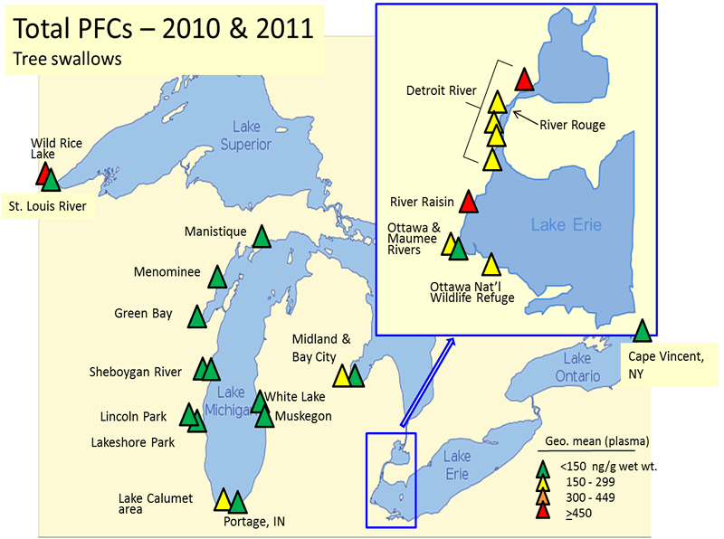 Total PFCs - 2010 and 2011 - Tree swallows