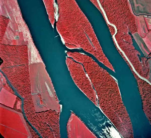 Infrared aerial photograph
