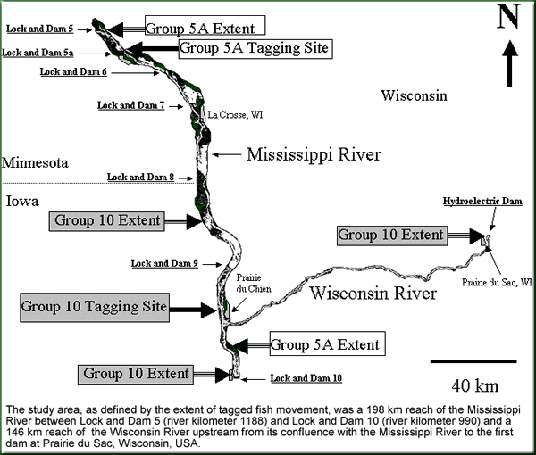 Sturgeon River Flow Chart