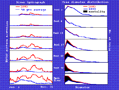 Distributions Graphs