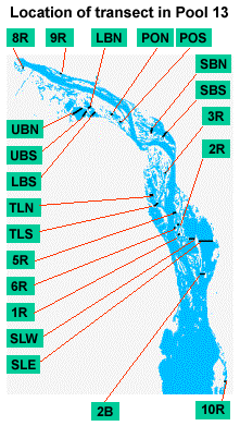 location of transect in pool 13