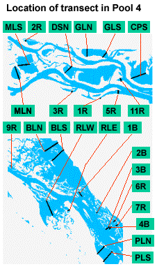 location of transect in pool 4