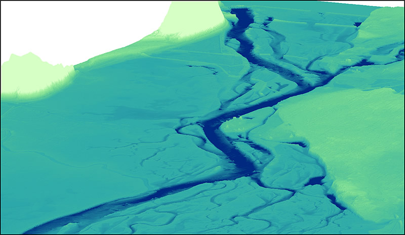 Figure 1. Three-dimensional view of Pool 8 topobathy dataset