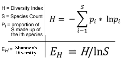 diversity equation
