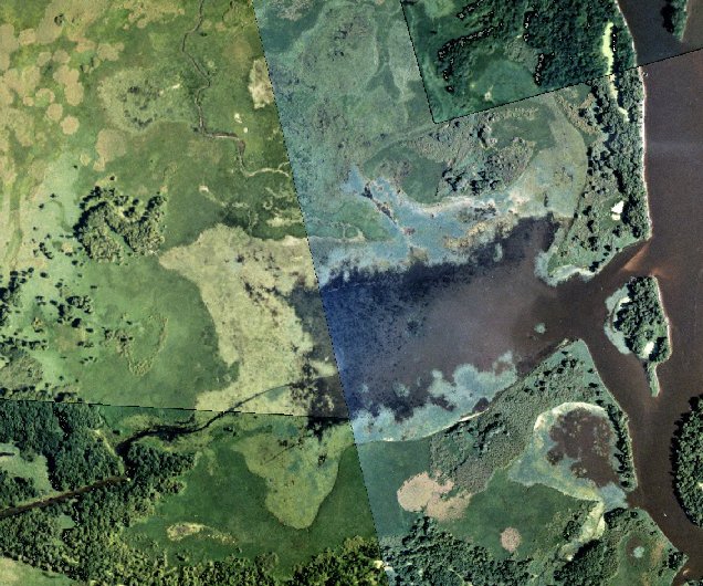 Target Lake - 1999 aerial photo