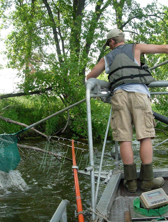 Dipnetting