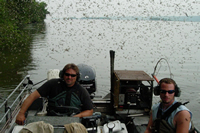 Mayfly swarm