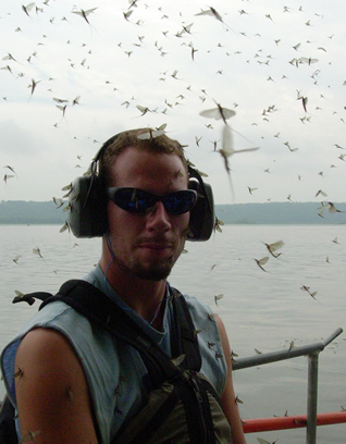 Mayfly swarm