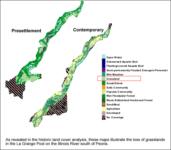 historic loss of grasslands - La Grange Pool, Illinois River