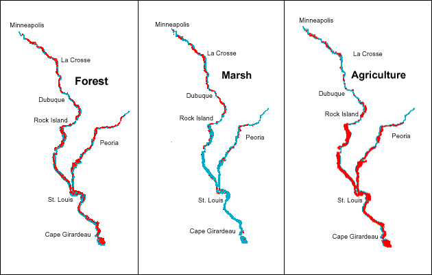 forest - marsh - agriculture abundance in the UMRS