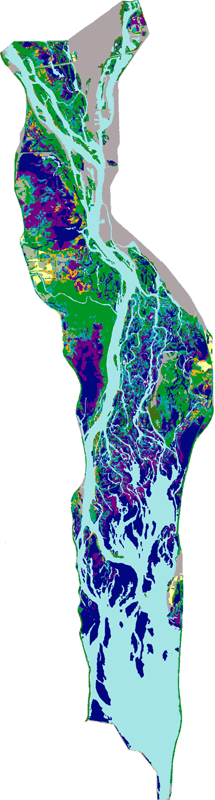 UMRS Pool 8 Land Cover/Usese