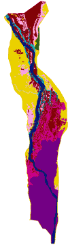 UMRS Pool 8 geomorphic map