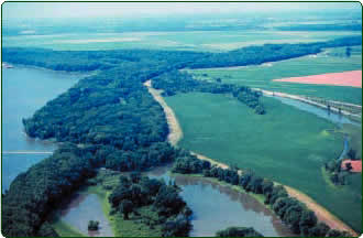 Mississippi River habitats