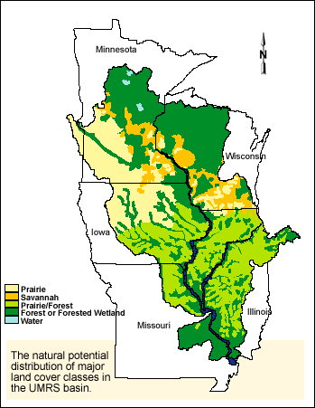 natural potential distribution of land cover classes - UMRS