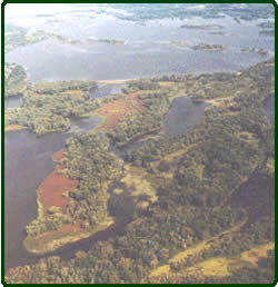 Finger Lakes Habitat Rehabilitation and Enhancement Project.