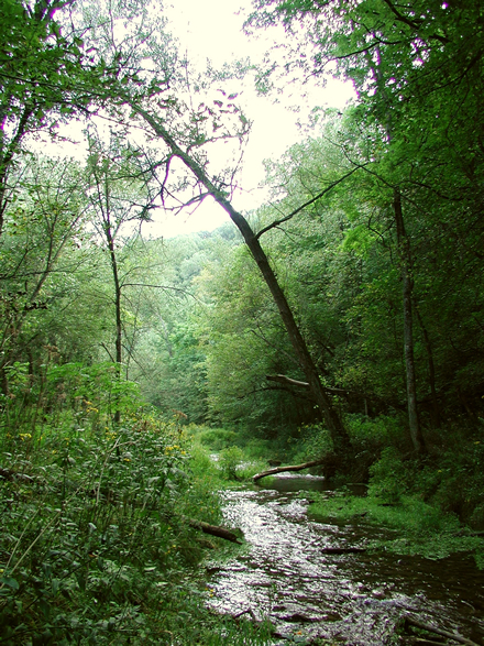 Beaver Creek State Park, Minnesota