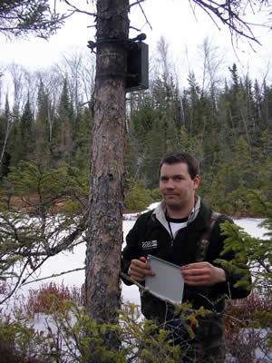 Sound recorder placed in wetland to monitor amphibians