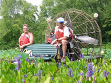 USGS scientists Steve Houdek and Jim Rogala monitoring plants during Pool 5 drawdown