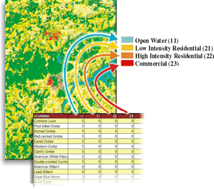 Figure 2: habitat suitablity scores