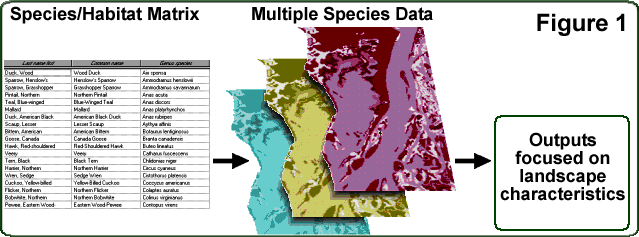 Figure 1: Multiple species data flow