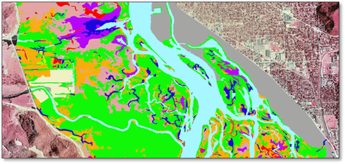 LTRMP (Land cover map)