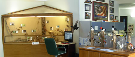 Foyer bird display