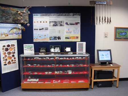 Foyer mussel display