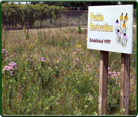 Prairie Restoration