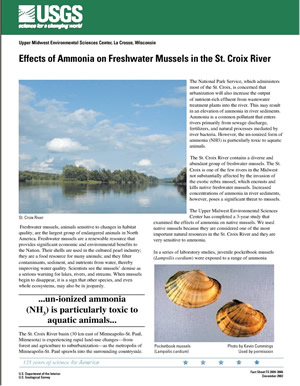 Effects of Ammonia on Freshwater Mussels in the St. Croix River