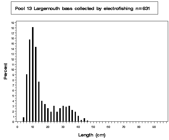 Pool 13 Largemouth bass collected by electrofishing