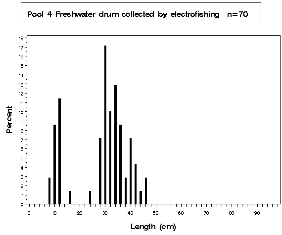 Pool 4 Freshwater drum collected by electrofishing