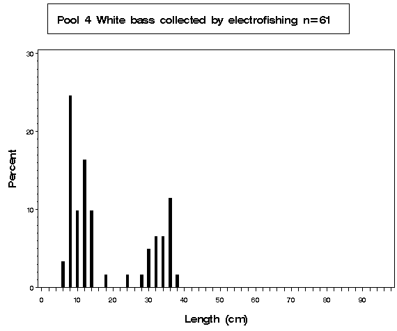 Pool 4 White bass collected by electrofishing