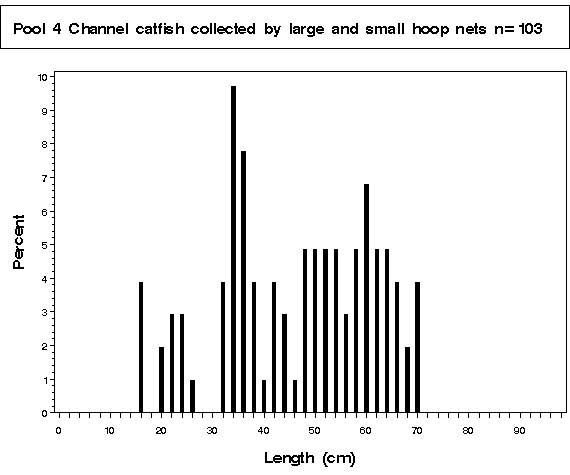 Pool 26 Channel catfish collected by hoop netting