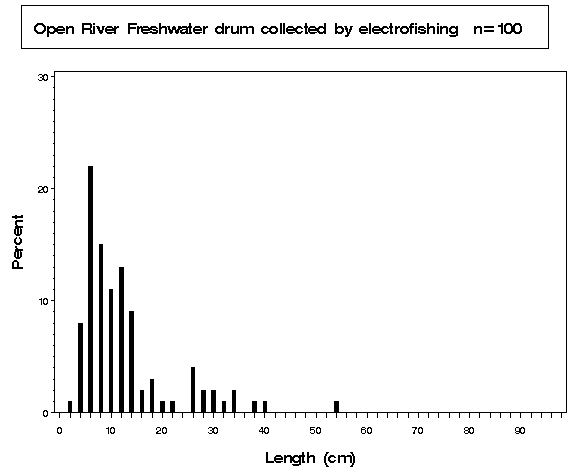 Open River Freshwater drum collected by electrofishing
