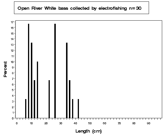 Open River White bass collected by electrofishing