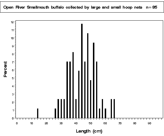 La Grange Pool Smallmouth buffalo collected by hoop netting