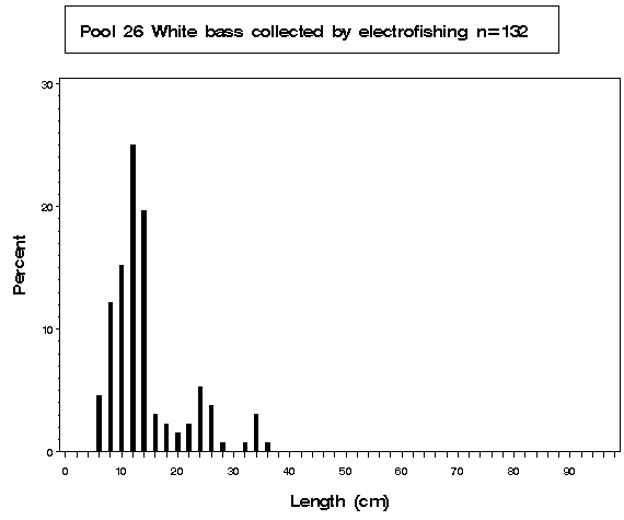 Pool 26 White bass collected by electrofishing