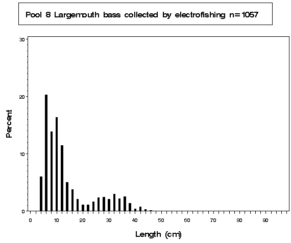 Pool 8 Largemouth bass collected by electrofishing