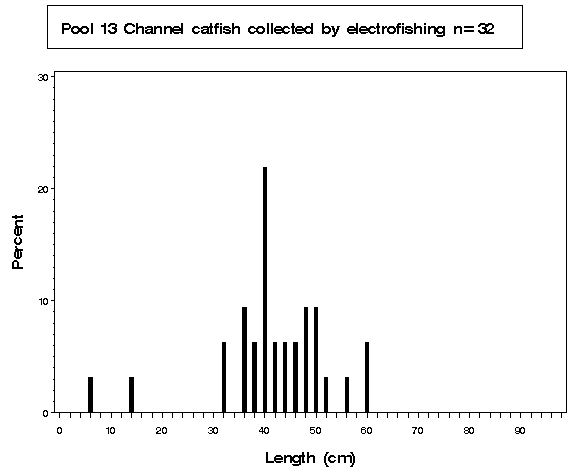 Pool 13 Channel catfish collected by electrofishing