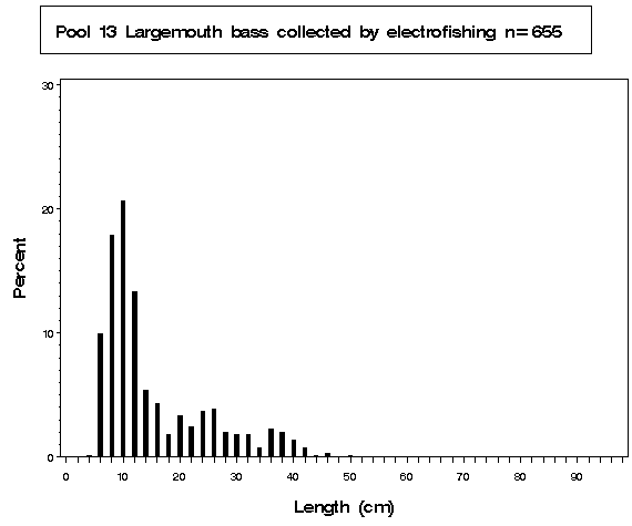 Pool 13 Largemouth bass collected by electrofishing