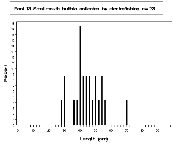 Pool 13 Smallmouth buffalo collected by electrofishing