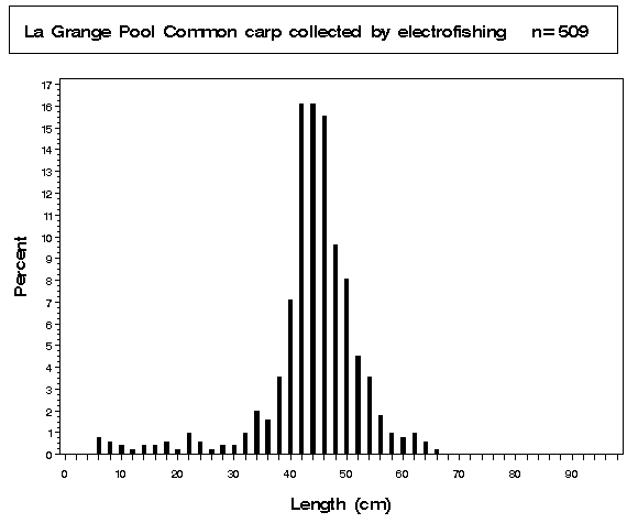 La Grange Pool Common carp collected by electrofishing