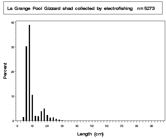 La Grange Pool Gizzard shad collected by electrofishing