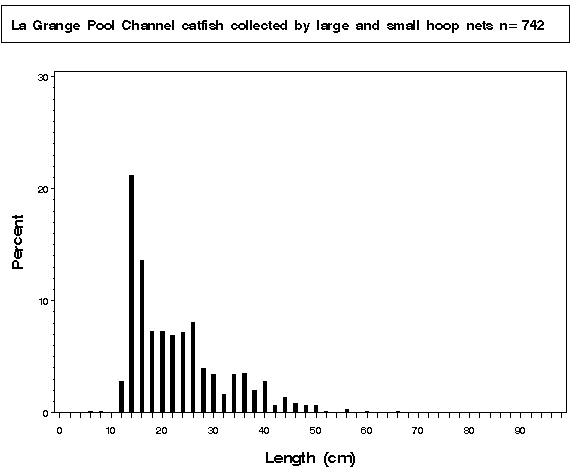 La Grange Pool Channel catfish collected by hoop netting