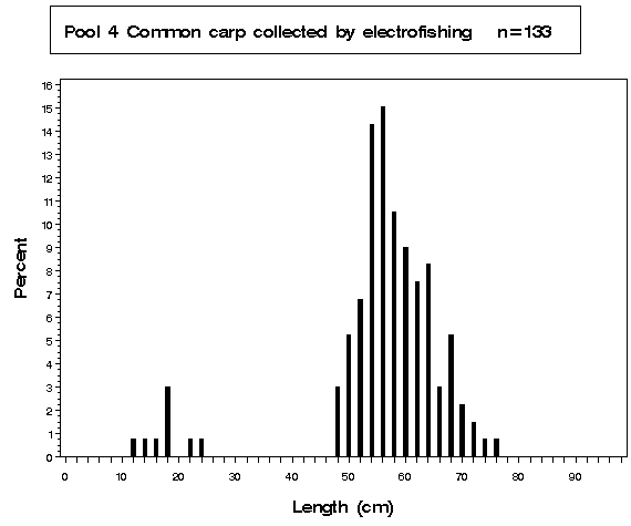 Pool 4 Common carp collected by electrofishing