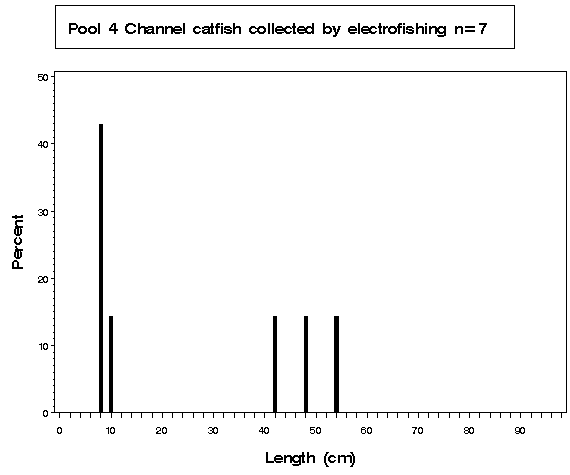 Pool 4 Channel catfish collected by electrofishing