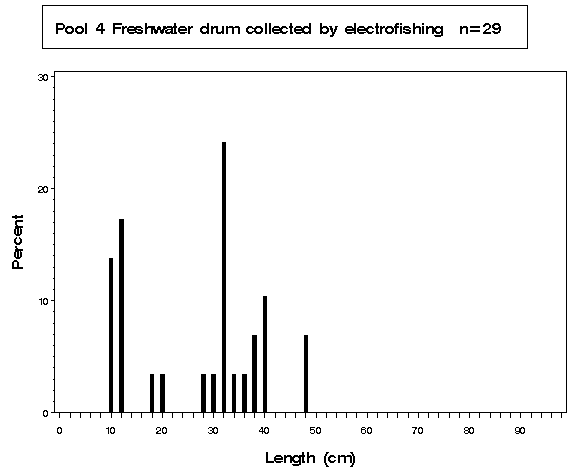 Pool 4 Freshwater drum collected by electrofishing
