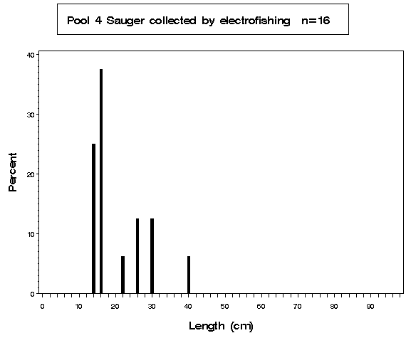 Pool 4 Sauger collected by electrofishing