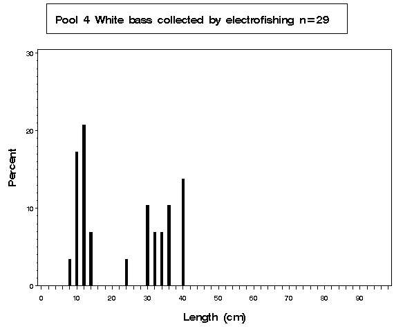 Pool 4 White bass collected by electrofishing